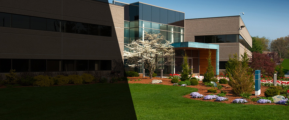 Oyster Bay Landscapers