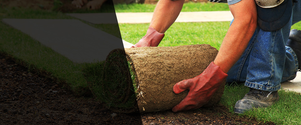 Oyster Bay Landscapers